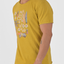 T-shirt uomo in cotone DPE 2308 in vari colori - Displaj