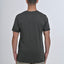 T-shirt uomo regular fit DPE 2302 JERSEY vari colori - Displaj